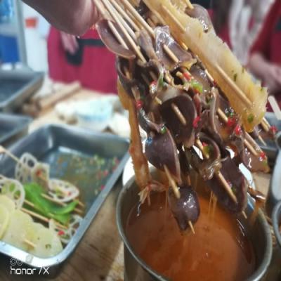 成都新都区开心猫串串糖心VLGO官网入口班哪家好？